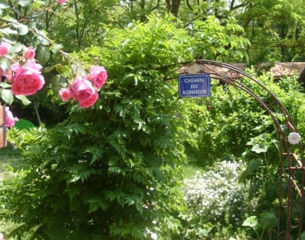La Chambre D'Hote Au Gre Du Temps Montlaur  Bagian luar foto